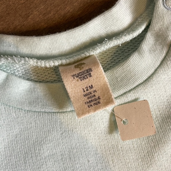 Flutter Graphic Sweatshirt & Leggings Set BLUE GLACIER BUNNY STRIPES, Size 12M - Picture 4 of 5